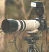 canon5d.JPG (18553 Byte)