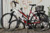 damenfahrrad_hercules_0550.JPG (66878 Byte)