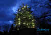 lichterfest2011cl3802.jpg (47027 Byte)