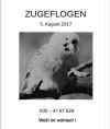 zugeflogen201708wellensittich.jpg (29785 Byte)